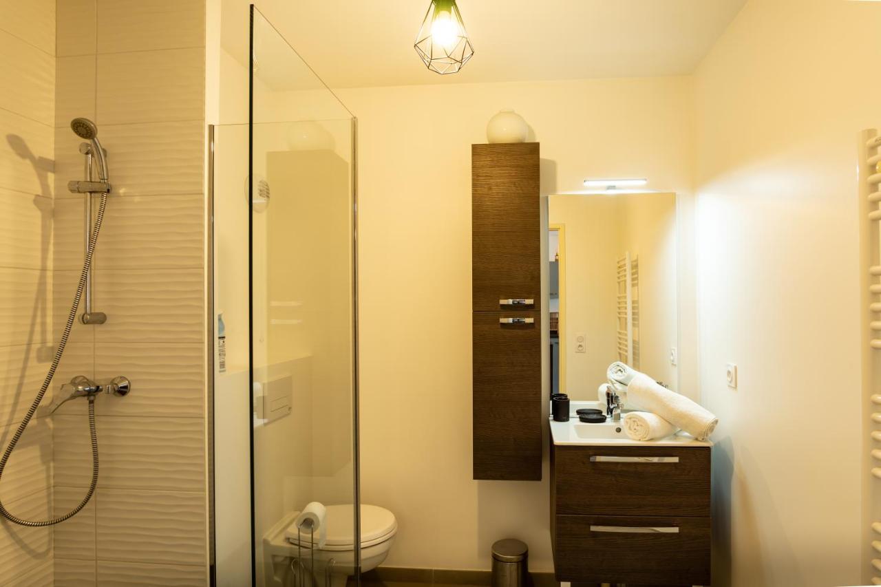 85 Geneve Confortable T2 Avec Parking Prive Annecy Ngoại thất bức ảnh